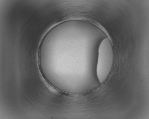 X0000073430811200607281003