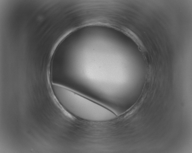 X0000073430812200607281003