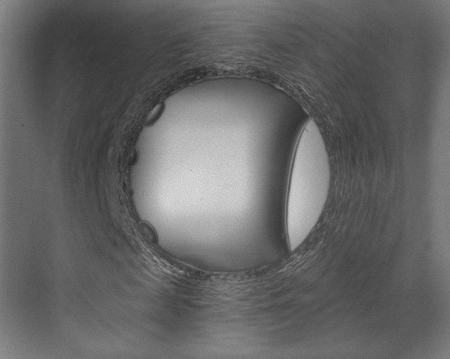 X0000073430817200607281003