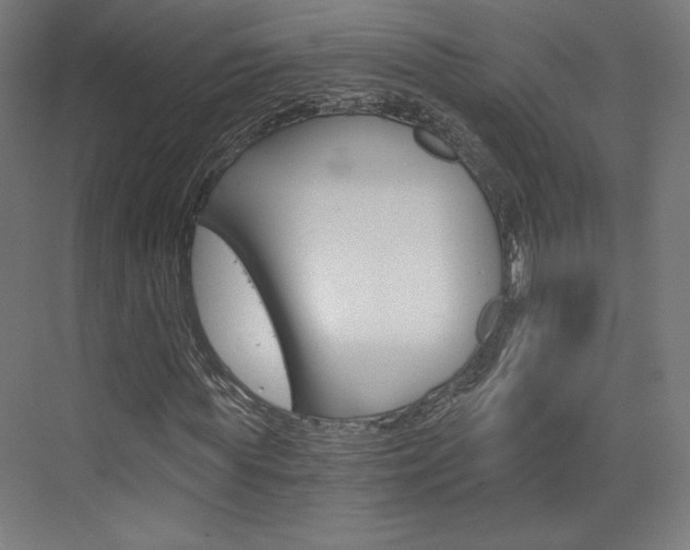 X0000073430819200607281003