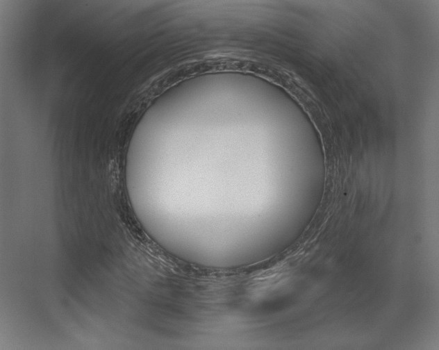 X0000073430821200607281003