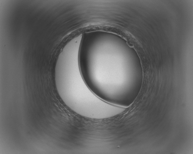 X0000073430822200607281003