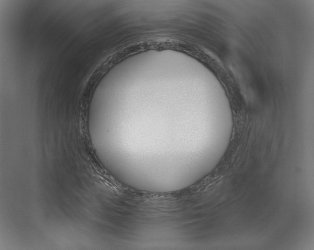 X0000073430823200607281003