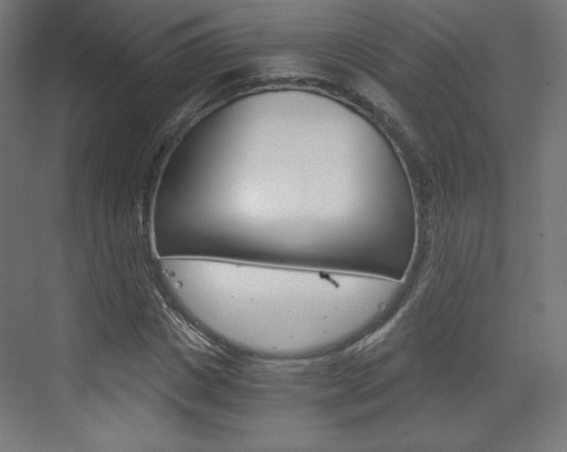X0000073430825200607281003