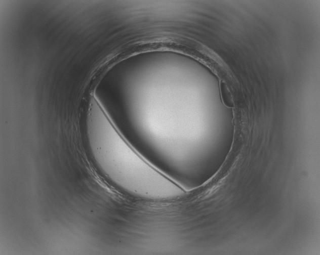 X0000073430826200607281003
