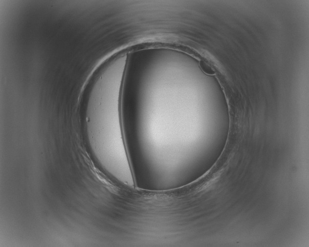 X0000073430830200607281003