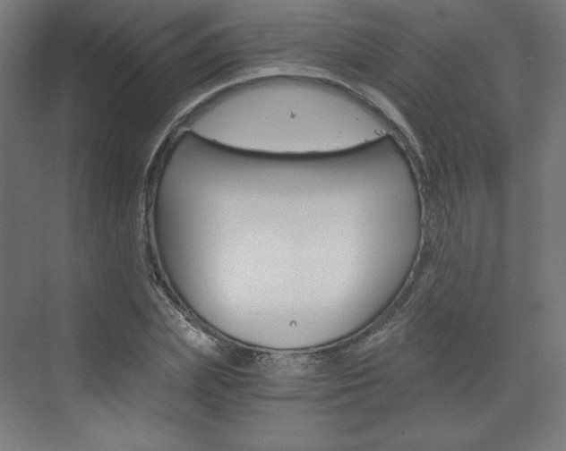 X0000073430831200607281003