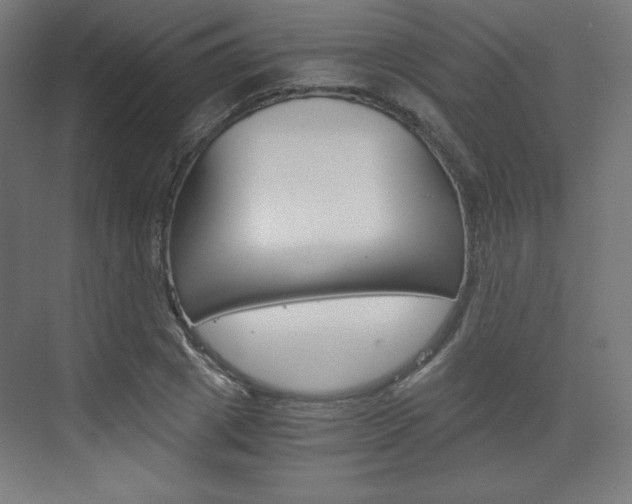X0000073430833200607281003