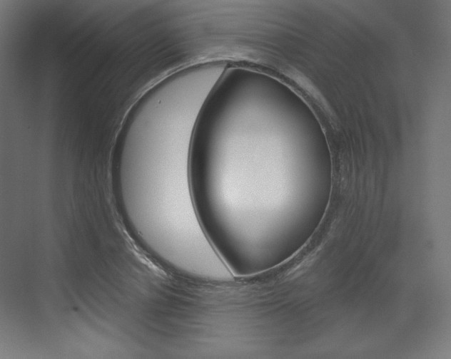 X0000073430834200607281003