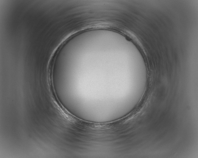 X0000073430835200607281003
