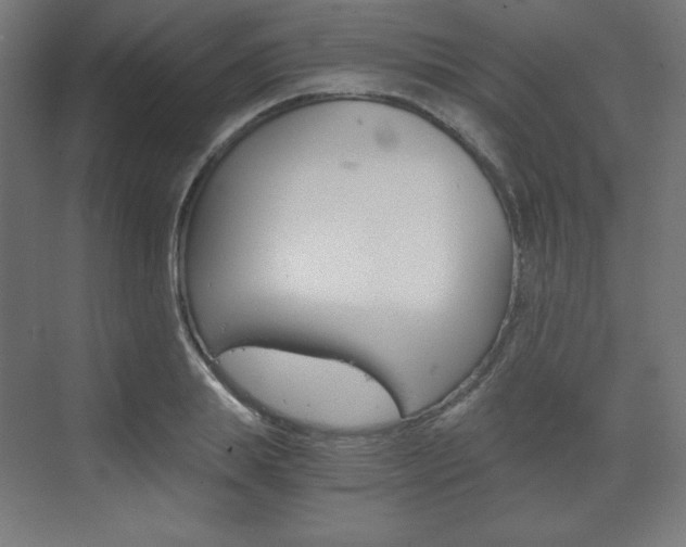 X0000073430839200607281003