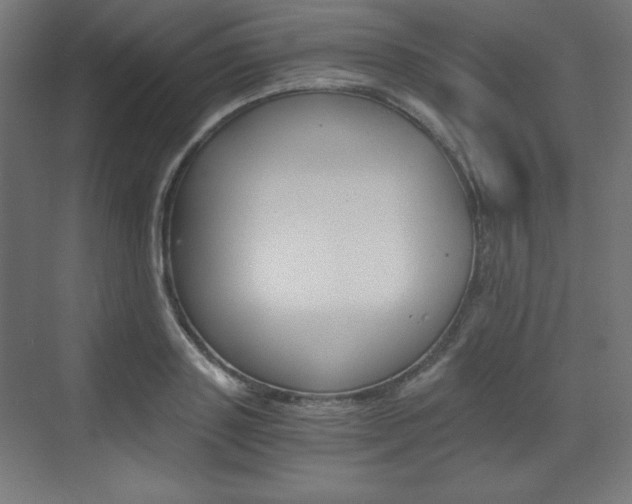 X0000073430843200607281003
