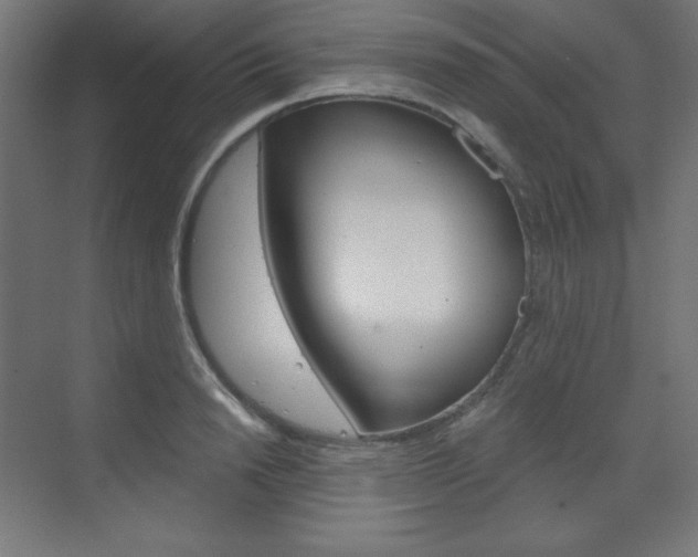 X0000073430846200607281003