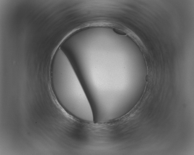 X0000073430852200607281003