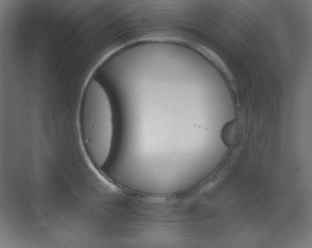 X0000073430855200607281003