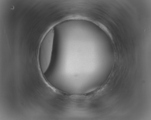 X0000073430863200607281003