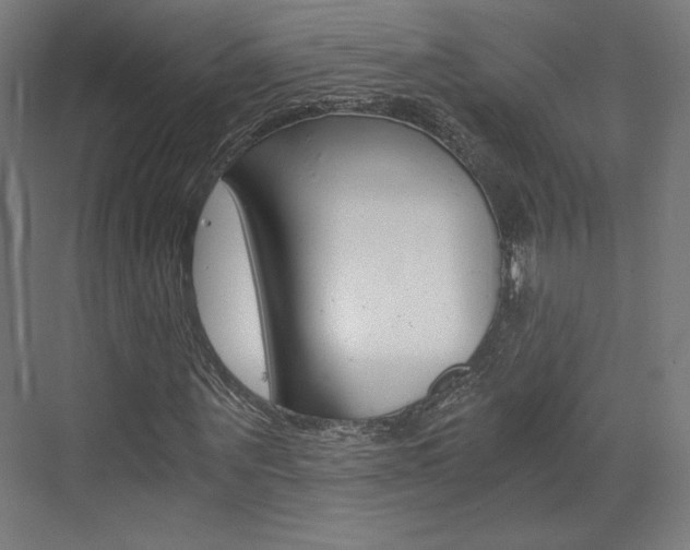 X0000073430867200607281003