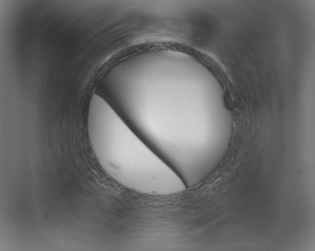 X0000073430871200607281002