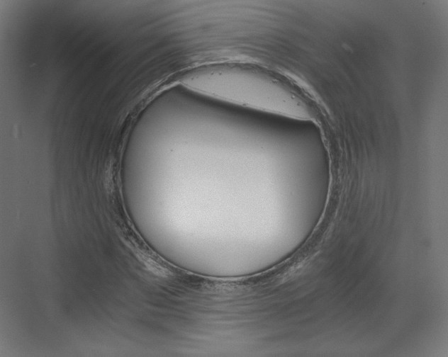 X0000073430873200607281002