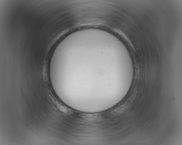 X0000073430874200607281002