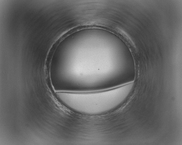 X0000073430876200607281002