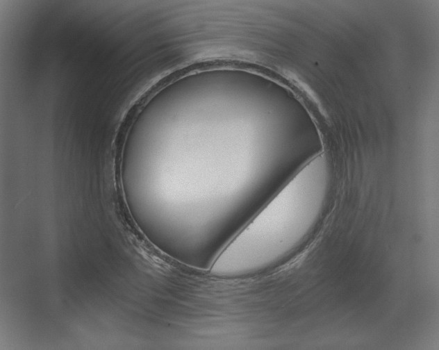 X0000073430877200607281002