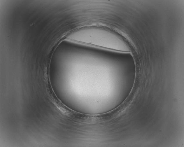 X0000073430881200607281002