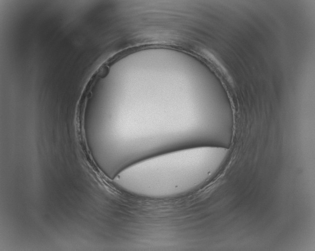 X0000073430883200607281002
