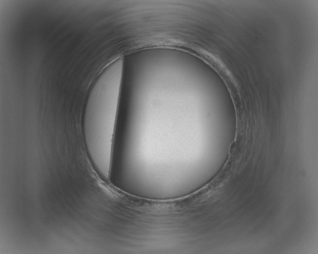 X0000073430889200607281002