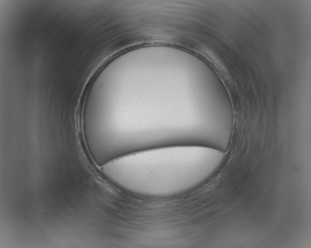 X0000073430891200607281002