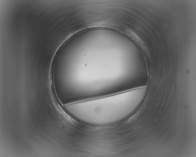 X0000073430892200607281002