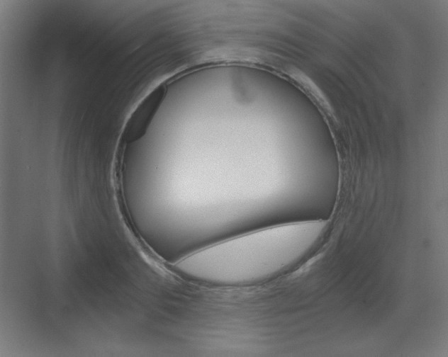 X0000073430893200607281002