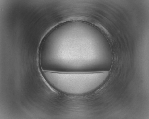 X0000073430894200607281002