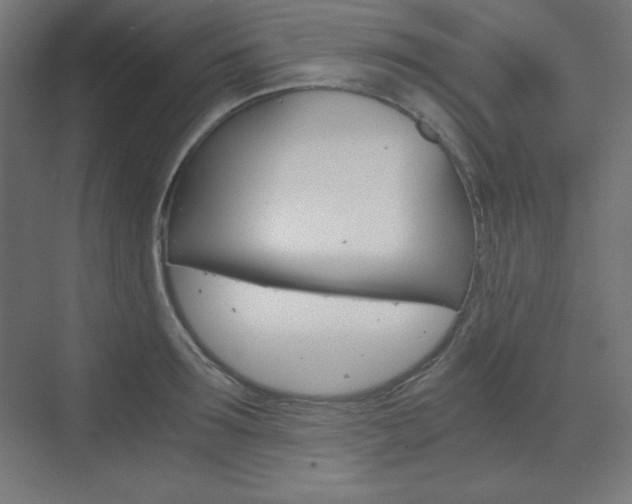 X0000073430899200607281002