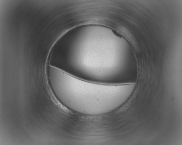 X0000073430900200607281002