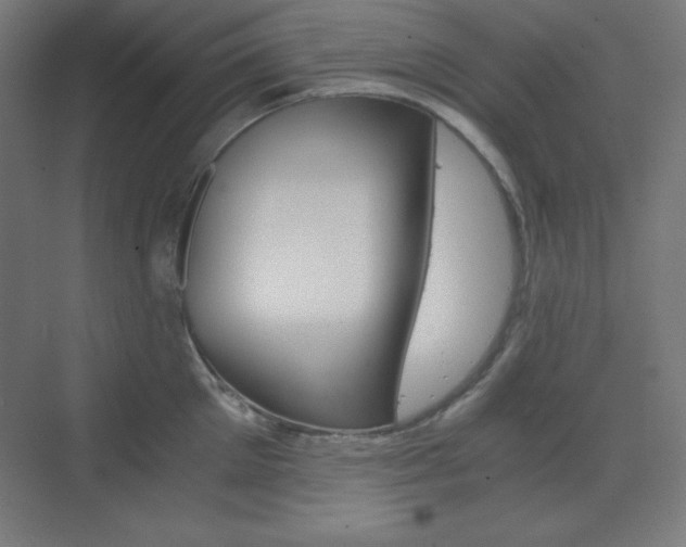 X0000073430905200607281002