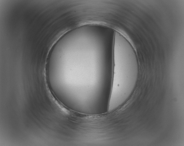 X0000073430906200607281002