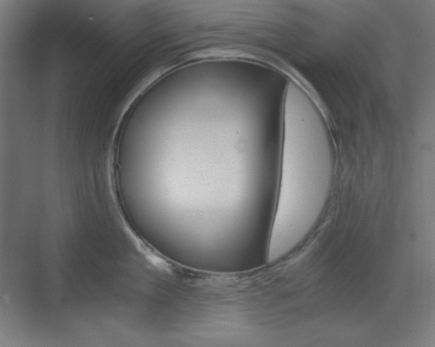X0000073430909200607281002