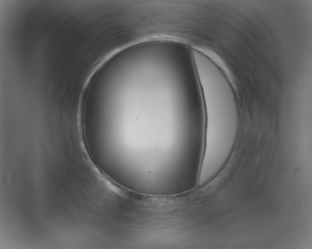 X0000073430910200607281002