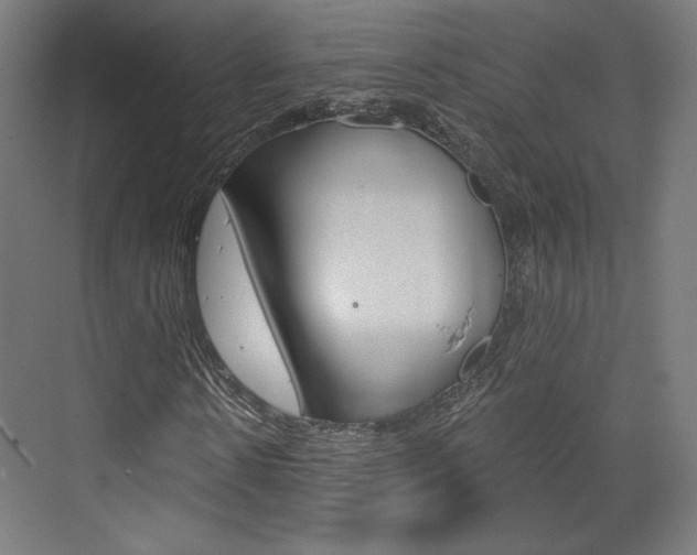 X0000073430914200607281001