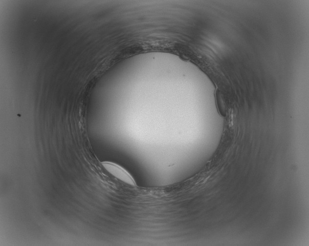 X0000073430915200607281001