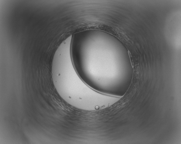 X0000073430916200607281001