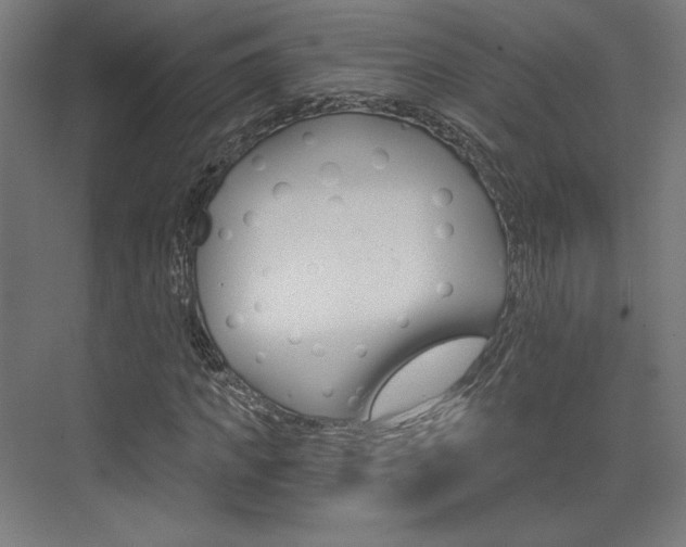 X0000073430917200607281001