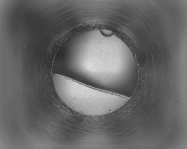 X0000073430919200607281001