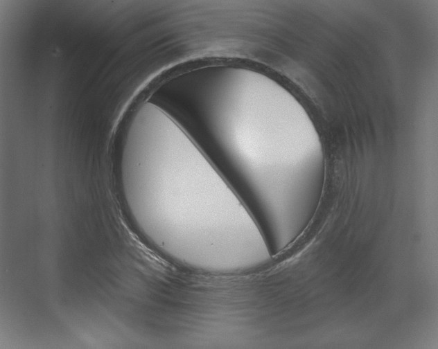 X0000073430926200607281001