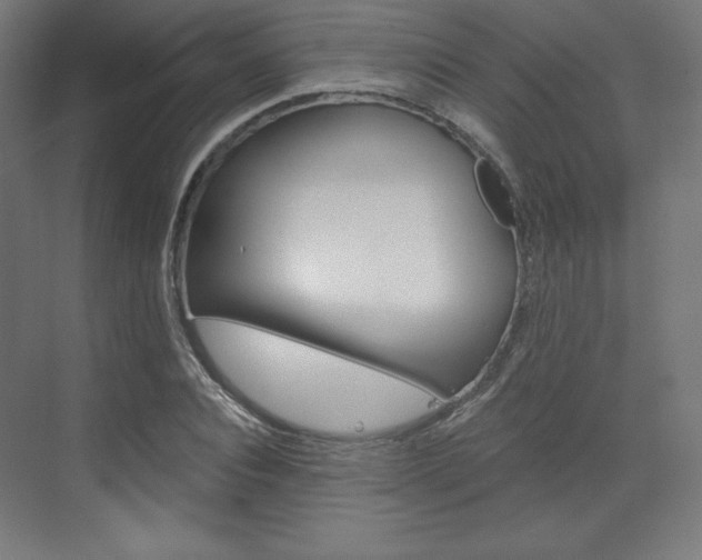 X0000073430928200607281001