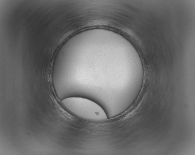 X0000073430929200607281001