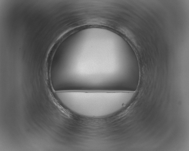 X0000073430931200607281001
