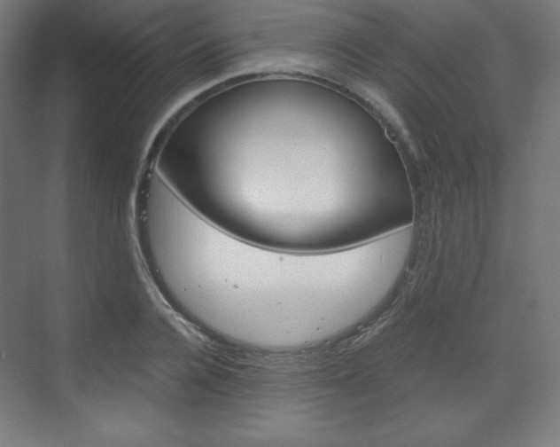 X0000073430936200607281001