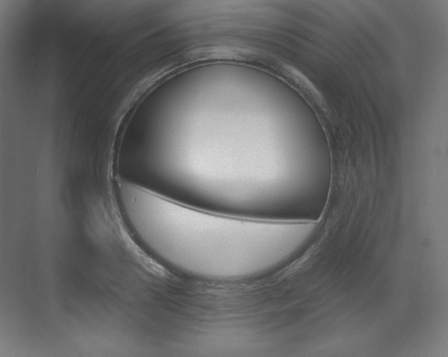 X0000073430938200607281001